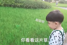 表情包：你看看这片草，像不像你送我的那顶帽子图片