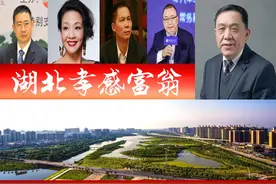湖北孝感浮现5位大富翁，3人登上胡润百富榜？俏江南创始人抢眼图片