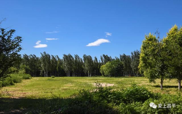 秋日农场嗨玩!露营野餐,种菜摘果,过向往的田园生活