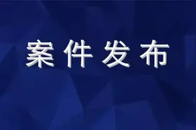青秀区检察院依法起诉1名非法收购、运输、出售穿山甲、象牙制品的犯罪嫌疑人图片