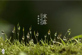 明日寒露，农谚“风大夜无露，阴天夜无霜”，咋说？道理在哪？图片