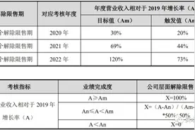 三老板大玩自我股权激励，新产业打开潘多拉图片