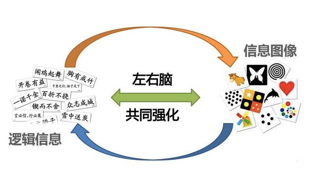 给孩子上全脑开发课真的有必要吗？切记不要让孩子做“半路出家”
