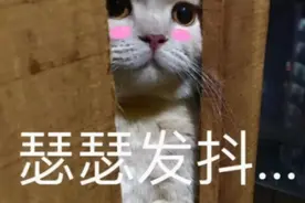 “一站到很高的地方就双腿发软”| 恐高也许是因为你的基因太优秀图片