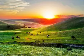 内蒙古3所“金牌”中学，列“清华生源地”，堪称“名校收割地”图片