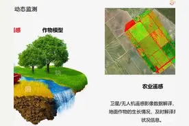 山东济南继续筹建空天信息大学，删掉了国字号成功希望大吗？图片