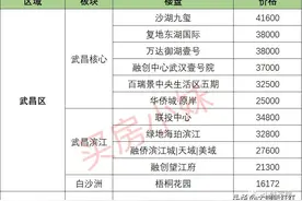 最新！大武汉新房房价大全！主城区最低仅7000图片