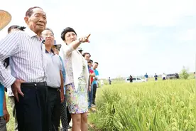 水稻之父身价1008亿，买新车没驾照，交警大队亲自送了本荣誉驾照视频封面