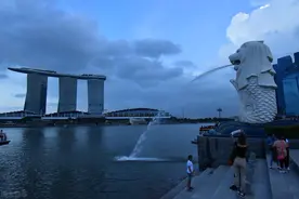 探秘新加坡的教育分流图片