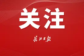 从一组数据看2020年的武汉：极不平凡、极其艰难、极为难忘图片