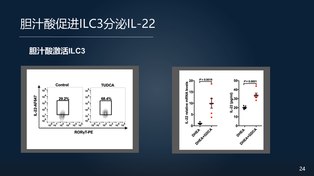 庞艳莉：22分钟详解肠道菌群与代谢疾病