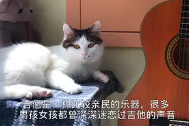 冬天存点货，吉他干货，记性不好的快拿个本子出来图片