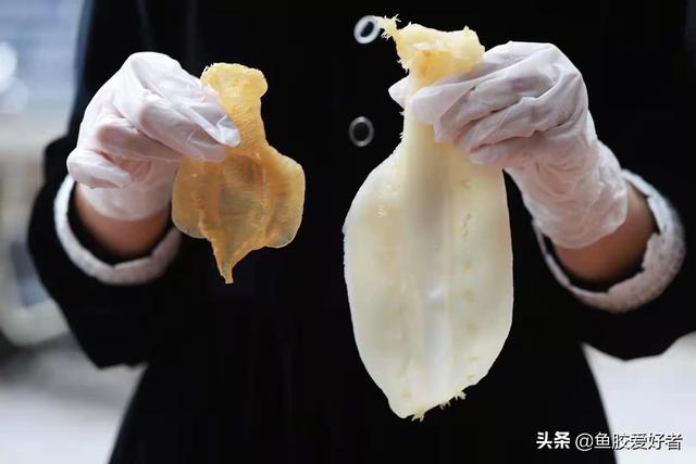 鱼胶一个星期吃几次 2026年鱼胶一个星期吃几次合适