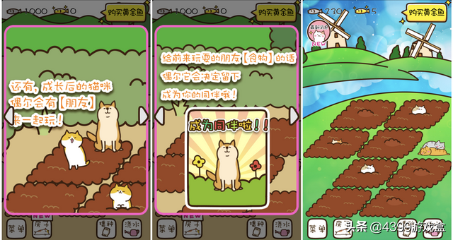 《猫咪田园》萌系猫咪养成游戏，猫咪爱好者的狂欢！3月12日上线