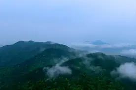 深圳楼市杀入“小白”？全球考察4年，设计费花了2亿多图片