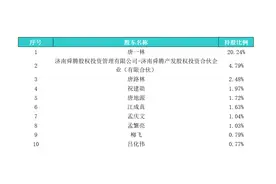 「新鼎资本研究」新三板优质企业之八十——圣泉集团图片