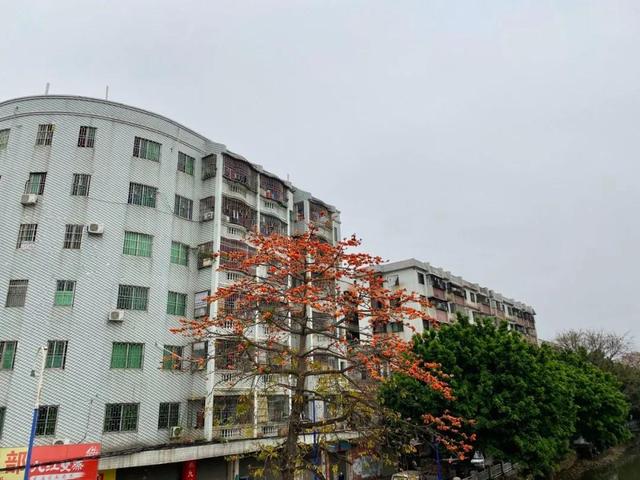 黑色车漆鸡皮疙瘩