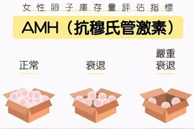 AMH小于1＝怀不上？生殖科专家教你如何试管助孕！图片