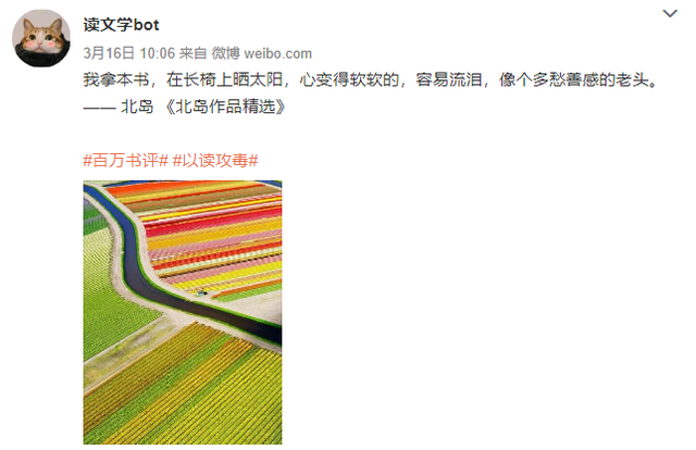 网上冲浪必备的"bot"，到底是个啥？