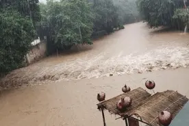 盘点“暴雨家族”：不同个性的它，你了解吗？图片