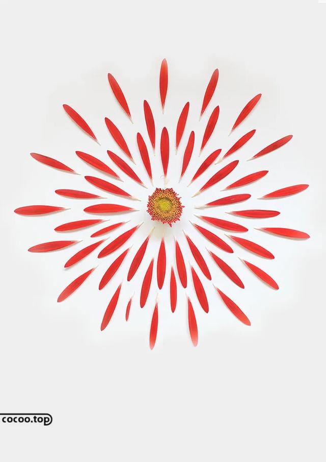 ҵ