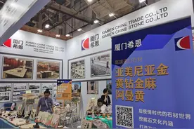 厦门画家傅永明用情怀演绎“石画传奇”图片