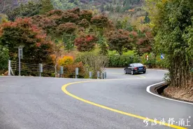 宁波驴友私藏的4条赏秋自驾线路，沿途风景美爆了图片