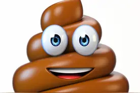 房车主们：你们会在房车上大便吗？21天旅行我没用过一次马桶图片