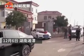 女主人结婚，狗狗跟婚车狂奔10多公里送亲图片