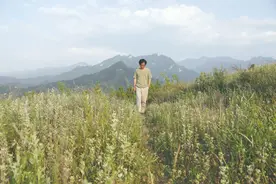 33岁河南青年独居终南山7年图片