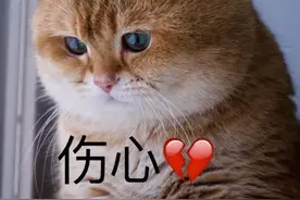 新规 | 下周起，天津人的生活有大变化图片