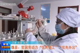 魏县：贫困劳动力“优先复工”“优先外出”图片