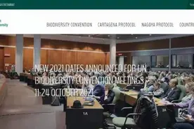 联合国生物多样性大会将于10月11日至24日在云南昆明举办图片