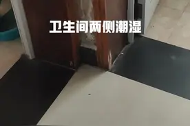多数家庭被网红误导，盲目跟风装修，入住后才发现“一塌糊涂”图片