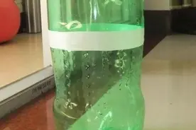 好看的花盆太贵怎么办？自己动手剪剪塑料瓶，既能省钱又贼漂亮图片