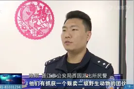 男子网购鹦鹉当宠物，却被警察盯上了......图片