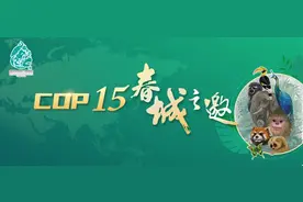 一起守护“象”往的家园图片