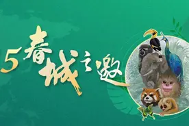 一起守护“象”往的家园图片