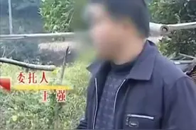 新婚夜陌生人来电揭穿妻子的秘密，丈夫隐忍5年：孩子是谁的图片