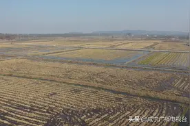 赤壁：建设高标准农田 让百姓端牢饭碗图片
