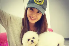 动物世界：从狗生赢家王可可开始，扒一扒各路明星斥巨资养的宠物图片