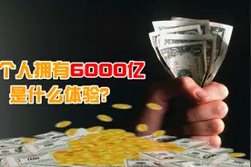 一人拥有6000亿元是什么体验？利息每天7397万，怎么花？图片