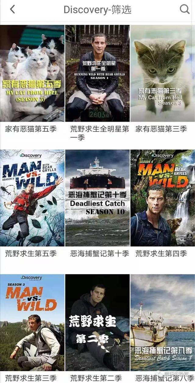 各大音乐平台集体跪了!这个APP不仅免费听周杰伦,还有最强曲库