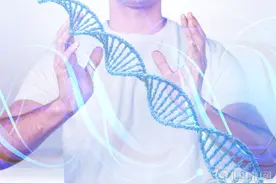雄激素是男人的“象征”，几个方法，提高体内雄激素含量图片