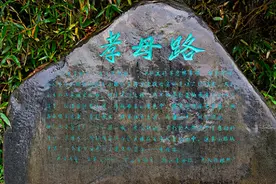许世友当着众将士向母亲下跪：不管我多高的官，我都是您的儿子图片