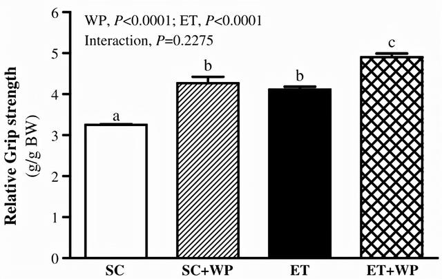 不健身直接吃蛋白粉会怎么样？