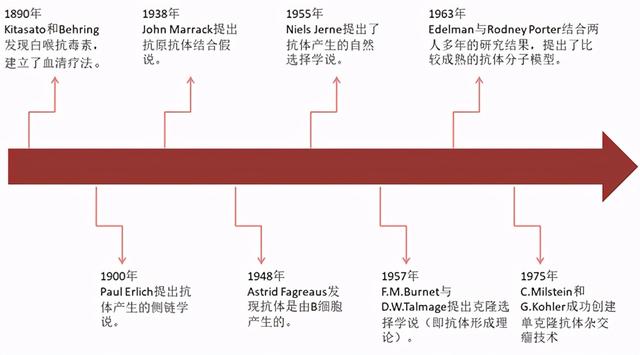 国产重要玩家跟随降价50%，“药王”阿达木单抗价格战白热化？