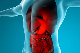 男性性功能与脏腑经络的管辖图片