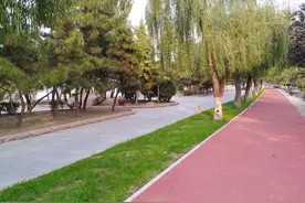 黄河之水天上来图片