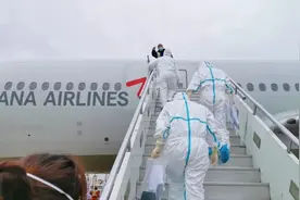 非洲回国必看，上海浦东机场入境流程图片